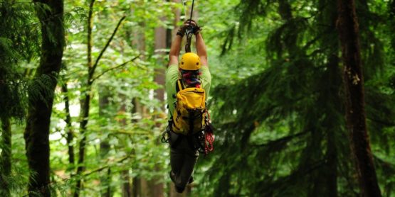 zipliner through trees