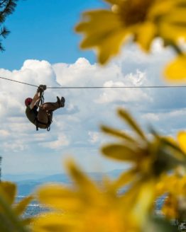 ziplining over flowers